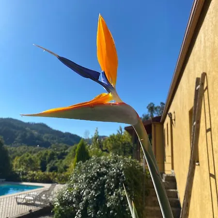 Quinta Dos Mouras B&B *